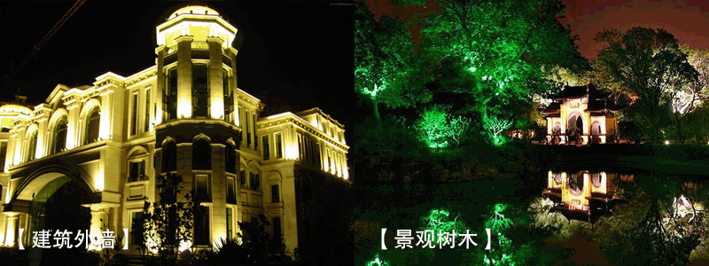 偏光金卤灯泛光灯建筑外墙照明效果-绿光树木照明效果