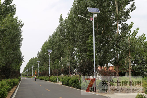 农村道路照明太阳能路灯安装实景图