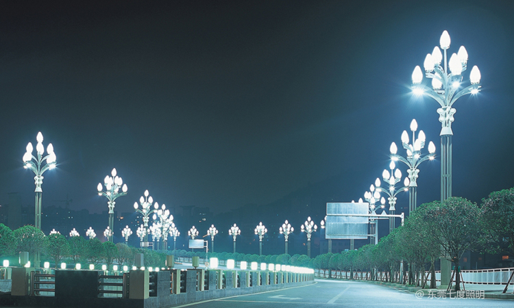 城市主干道两侧安装12米景观路灯玉兰灯亮灯效果